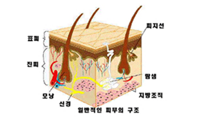 아름다운 오늘 현경준 피부과 